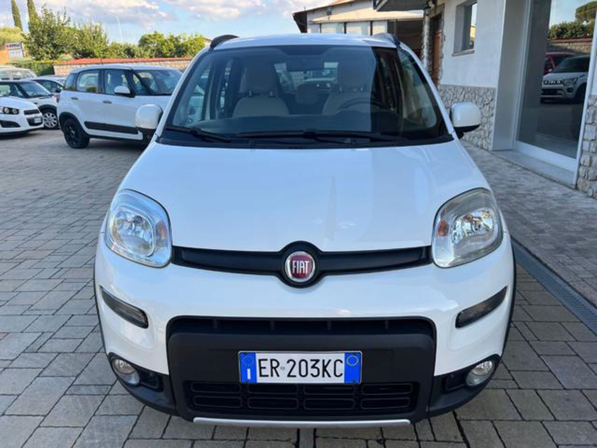 Fiat Panda 1.3 MJT 4x4 Van Active Trekking 2 posti del 2013 usata a Cortona