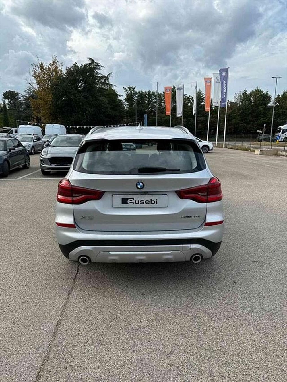 BMW X3 xDrive20d xLine  del 2018 usata a Fano (4)