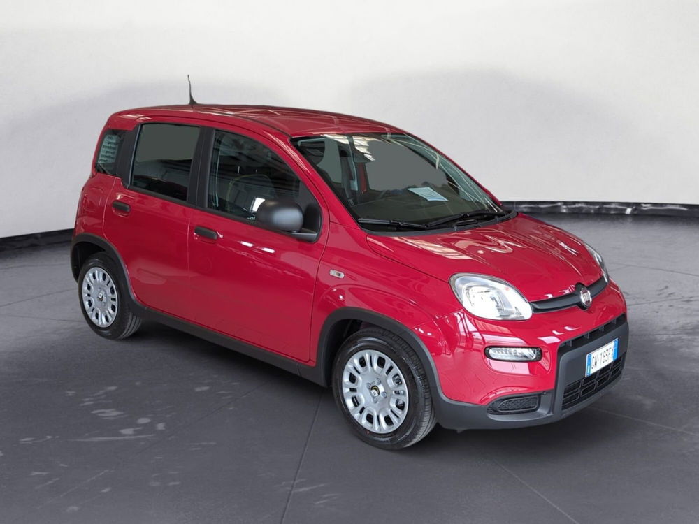 Fiat Panda Cross nuova a Pordenone (7)