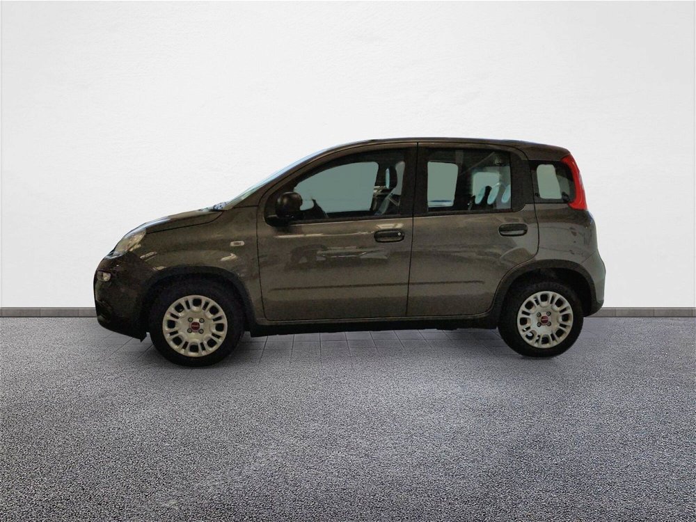 Fiat Panda 1.0 FireFly S&S Hybrid Easy nuova a Pordenone (4)
