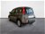 Fiat Panda 1.0 FireFly S&S Hybrid City Cross  nuova a Pordenone (6)