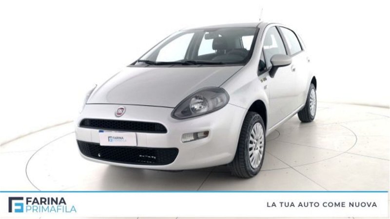 Fiat Punto 1.4 8V 5 porte Natural Power Young my 14 del 2015 usata a Marcianise