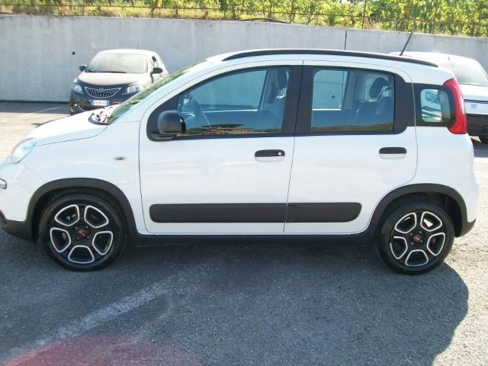 Fiat Panda usata a Frosinone (2)