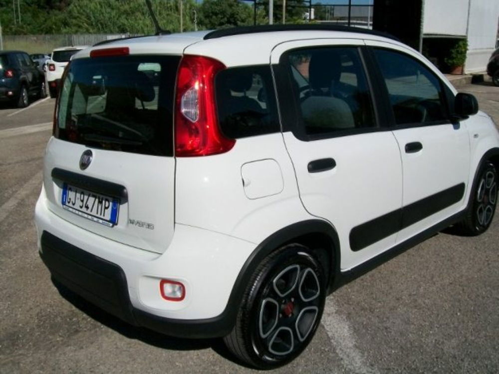 Fiat Panda usata a Frosinone (5)