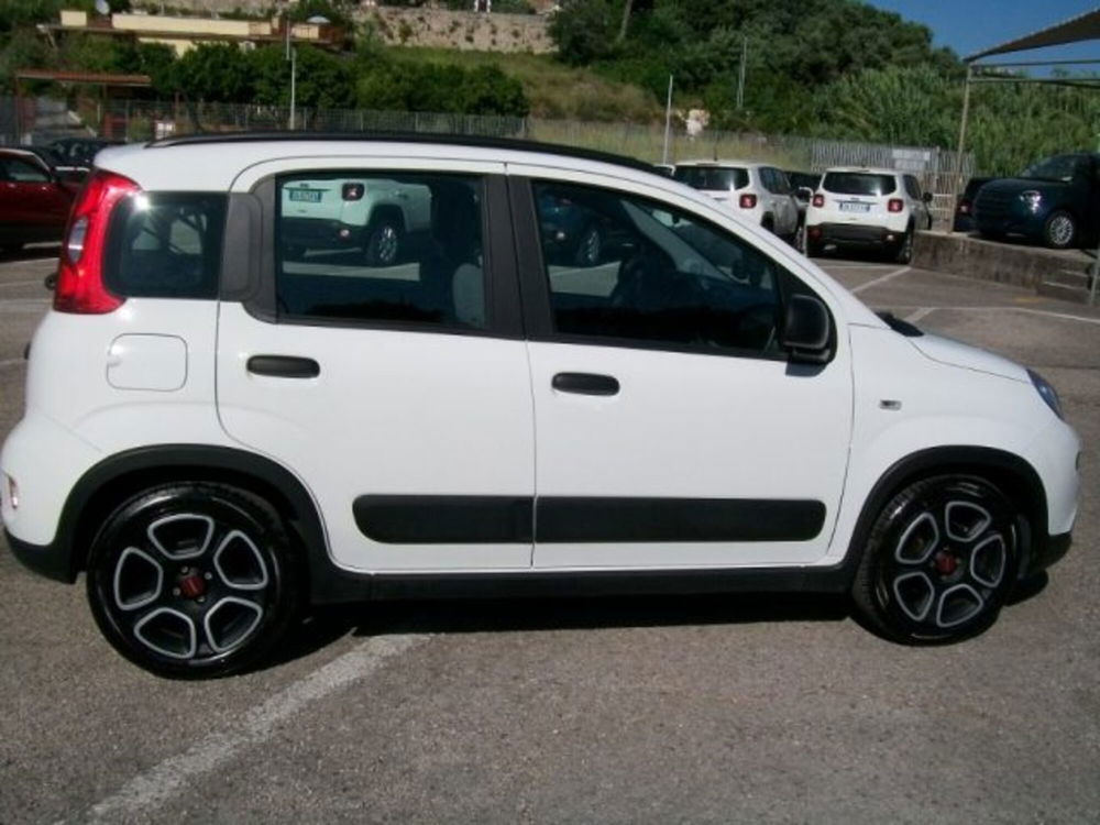 Fiat Panda usata a Frosinone (6)