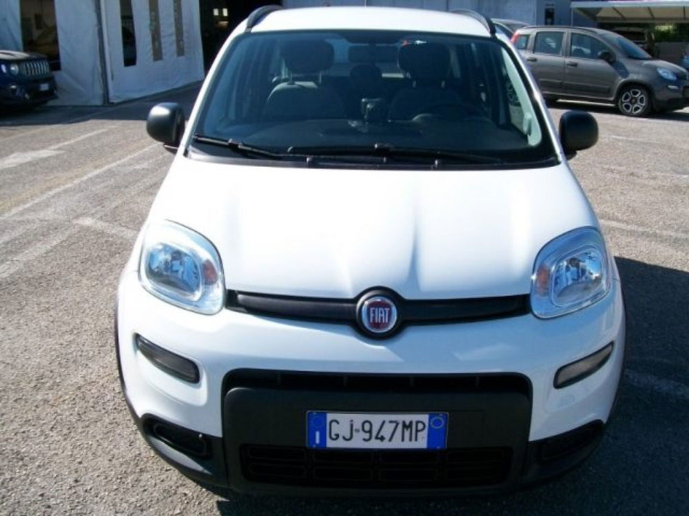 Fiat Panda usata a Frosinone (9)