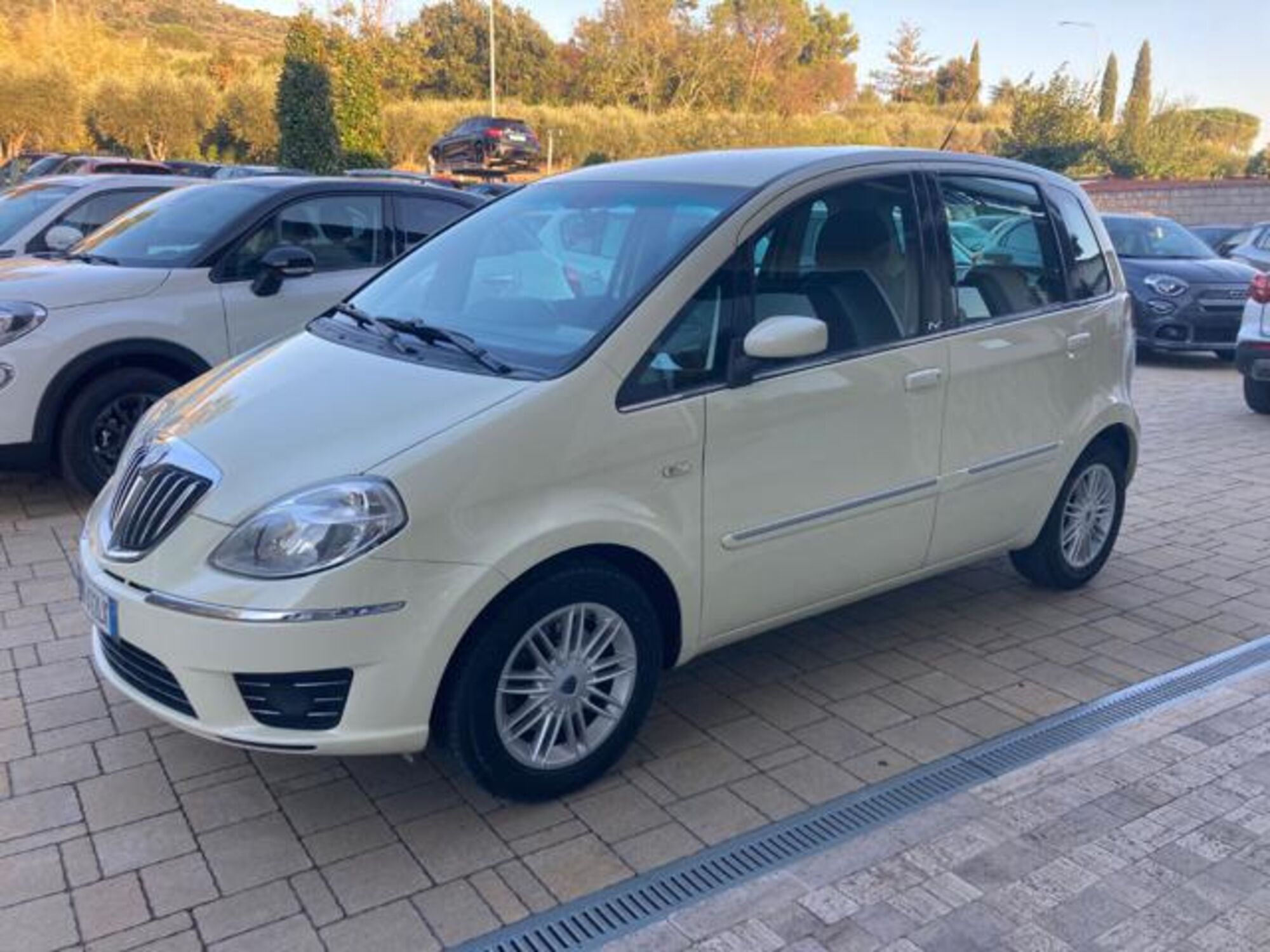 Lancia Musa 1.3 Multijet 16V 90 CV Platino del 2009 usata a Cortona