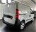 Fiat Doblò Furgone 1.6 MJT 90CV S&S PC-TN Cargo Lounge  nuova a Empoli (7)