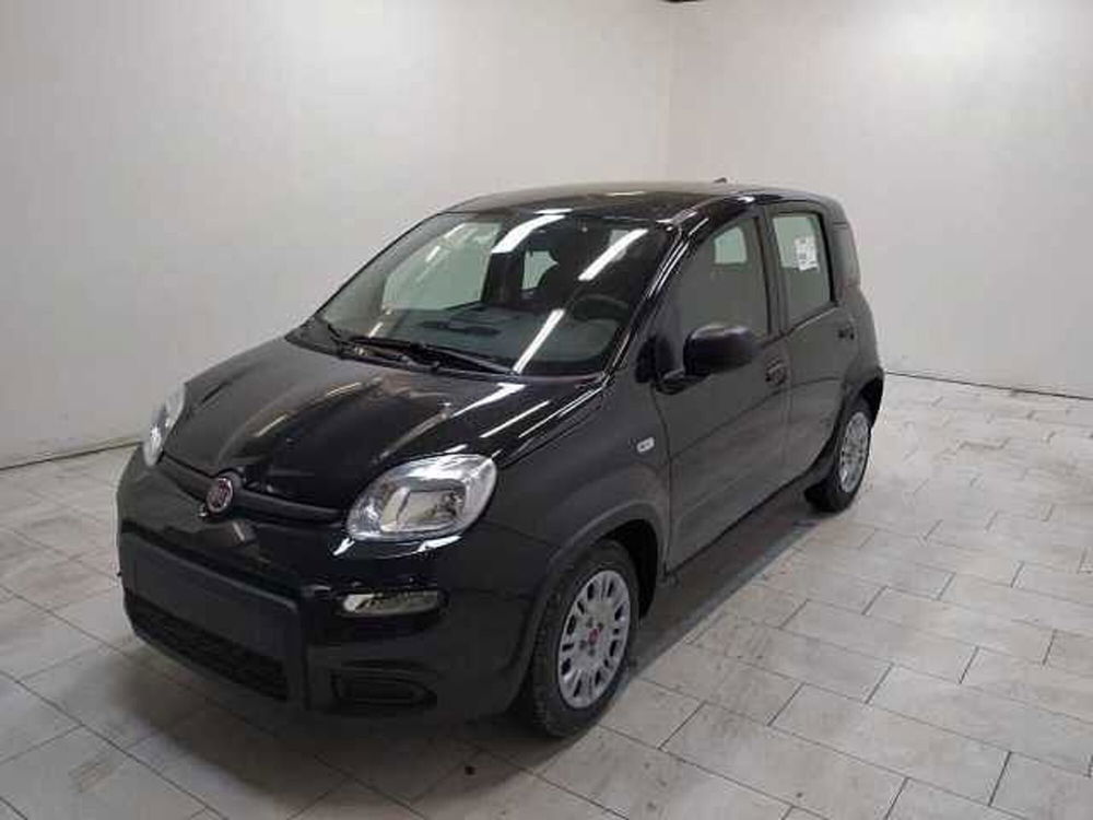 Fiat Panda nuova a Cuneo