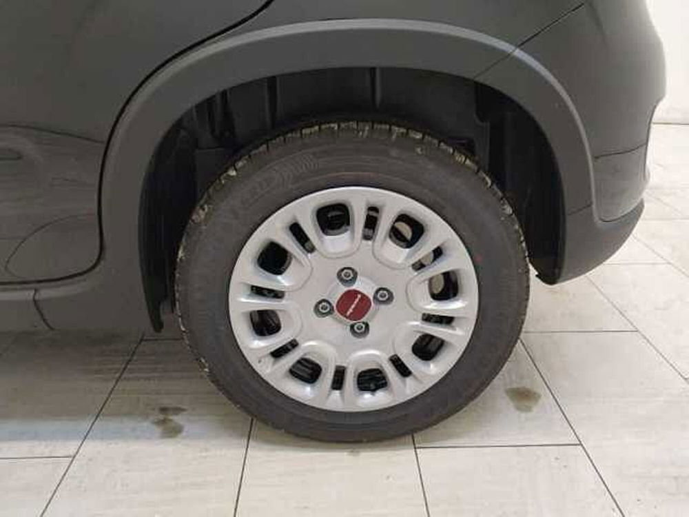 Fiat Panda nuova a Cuneo (10)