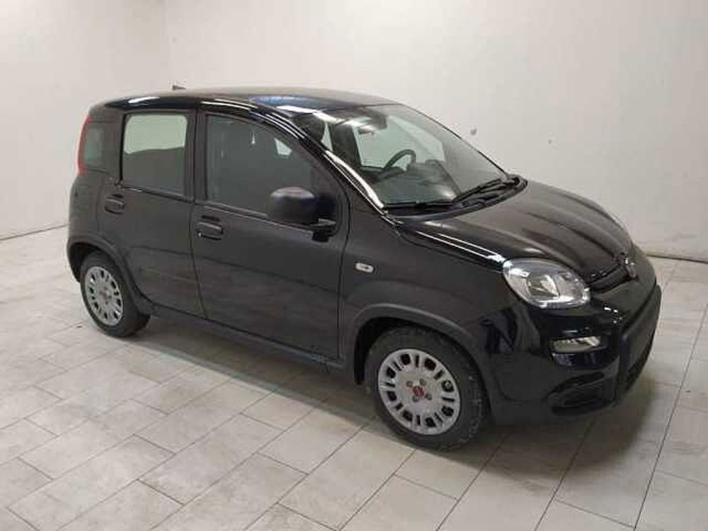 Fiat Panda nuova a Cuneo (3)