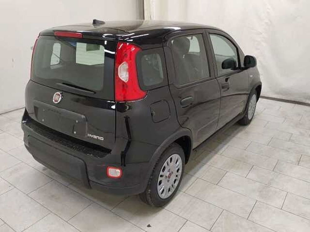 Fiat Panda nuova a Cuneo (4)