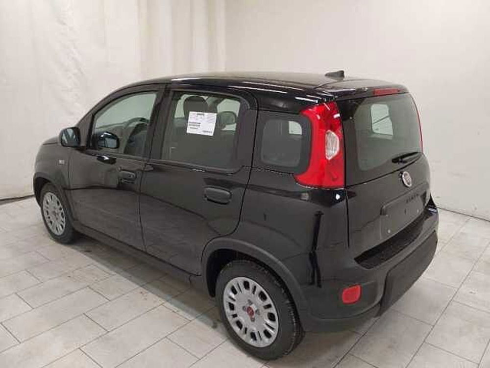 Fiat Panda nuova a Cuneo (6)