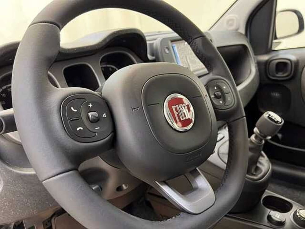 Fiat Panda nuova a Cuneo (10)