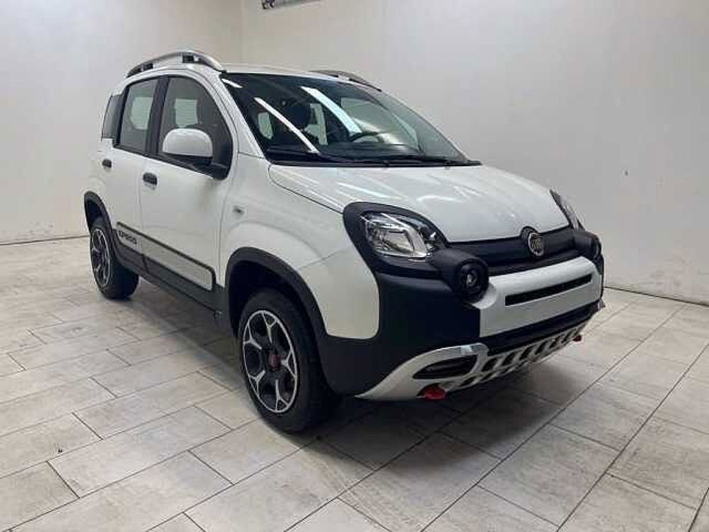 Fiat Panda nuova a Cuneo (3)