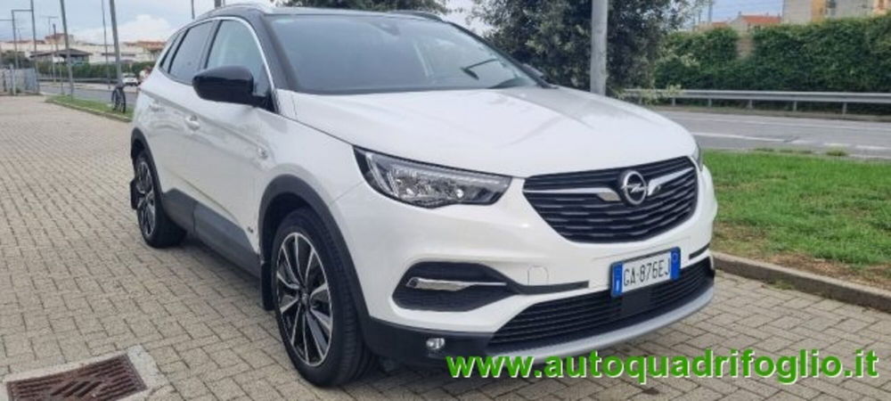 Opel Grandland X usata a Savona (2)