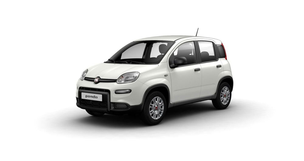 Fiat Panda nuova a L'Aquila