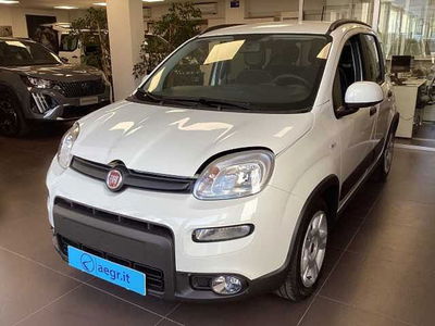 Fiat Panda 1.0 firefly hybrid s&amp;s 70cv 5p.ti nuova a Castel Madama