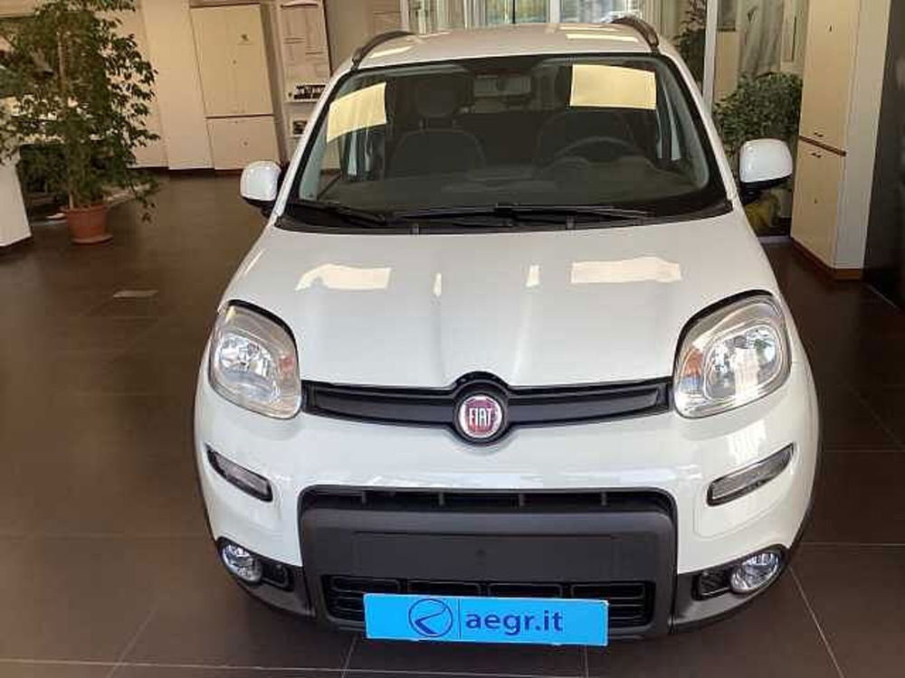 Fiat Panda 1.0 FireFly S&S Hybrid Easy nuova a Castel Madama (2)