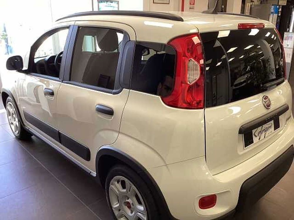 Fiat Panda 1.0 FireFly S&S Hybrid Easy nuova a Castel Madama (3)