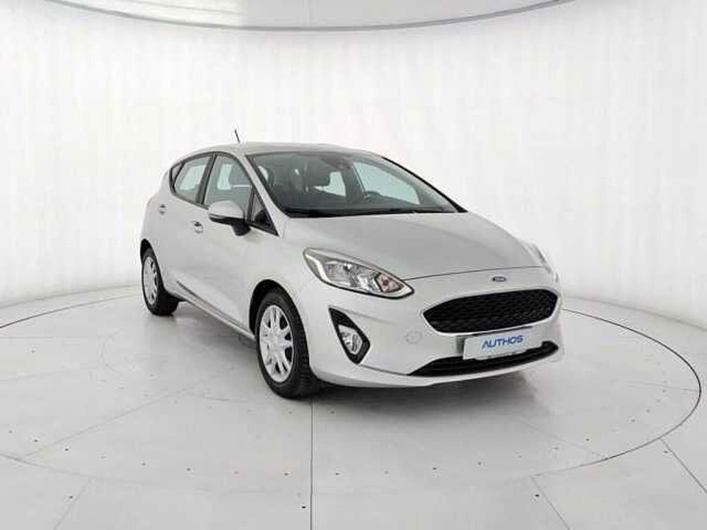 Ford Fiesta usata a Torino (2)