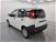 Fiat Panda 1.0 GSE S&S Hybrid Pop Van 2 posti  nuova a Cuneo (7)