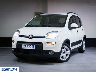 Fiat Panda Cross Cross 1.0 FireFly S&amp;S Hybrid  nuova a San Paolo d&#039;Argon