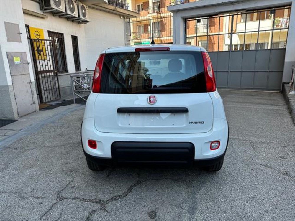 Fiat Panda 1.0 FireFly S&S Hybrid  nuova a Torino (5)