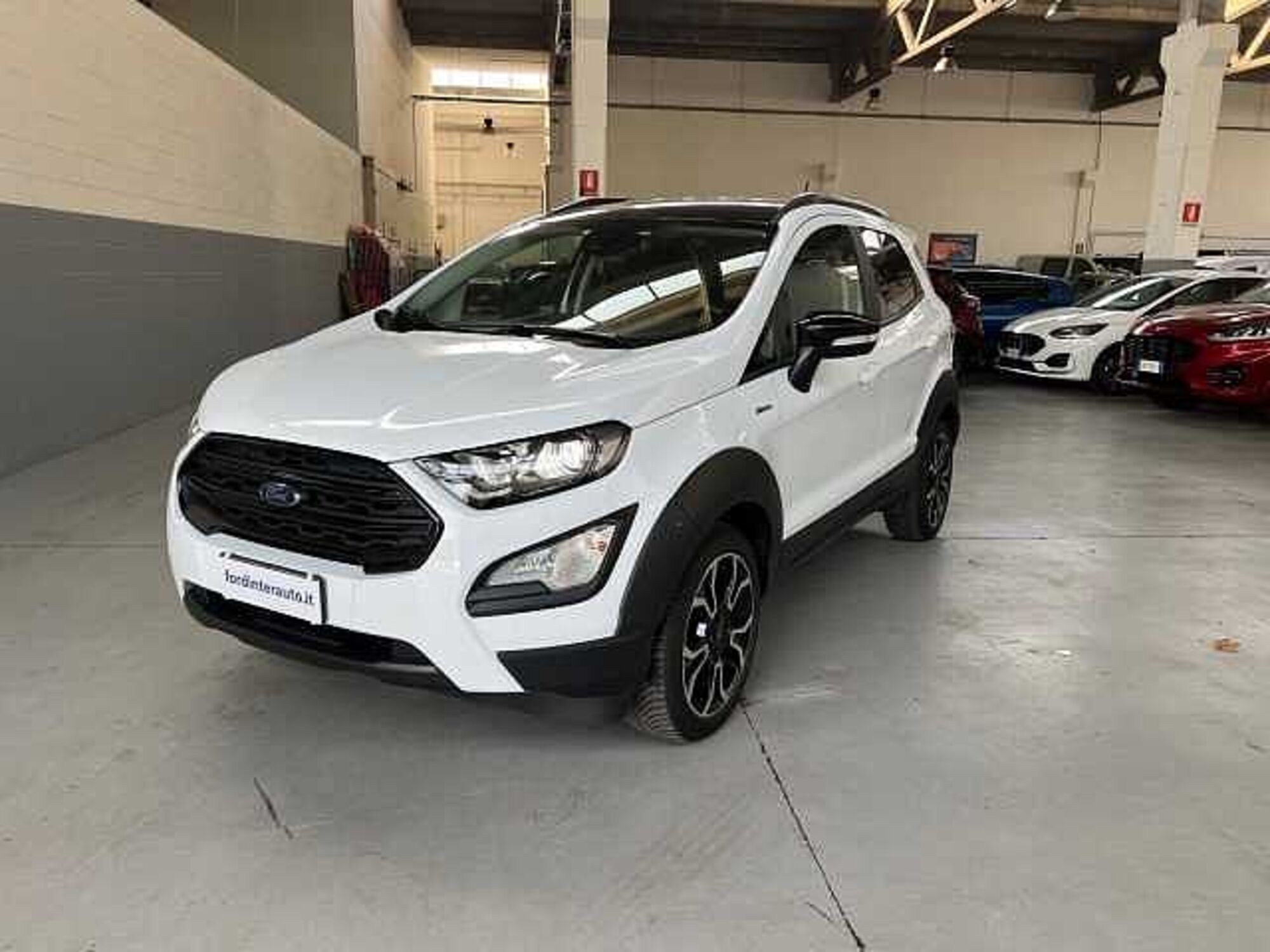 Ford EcoSport 1.0 EcoBoost 125 CV Start&amp;Stop Active del 2022 usata a Melegnano