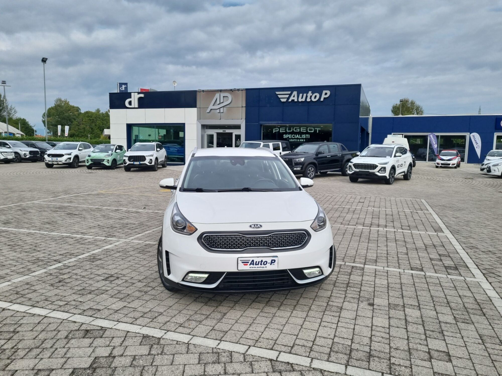 Kia Niro 1.6 GDi DCT HEV Style  del 2018 usata a Lucca