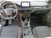Ford Focus Station Wagon 1.0 EcoBoost 125 CV automatico SW ST-Line  del 2020 usata a Grumolo delle Abbadesse (8)