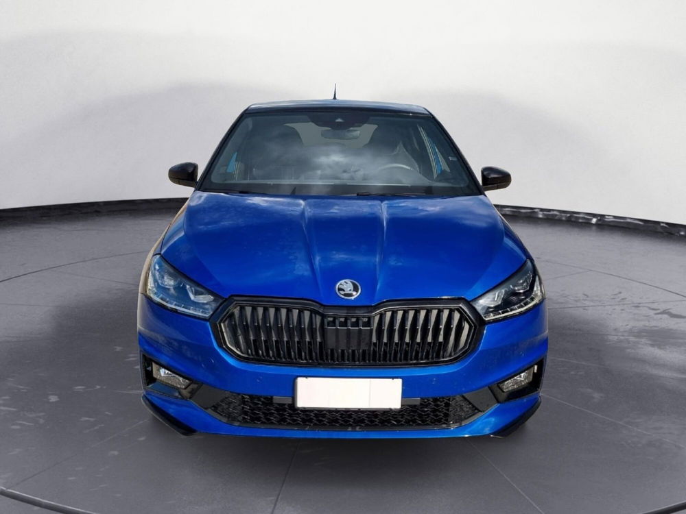 Skoda Fabia usata a Potenza (2)