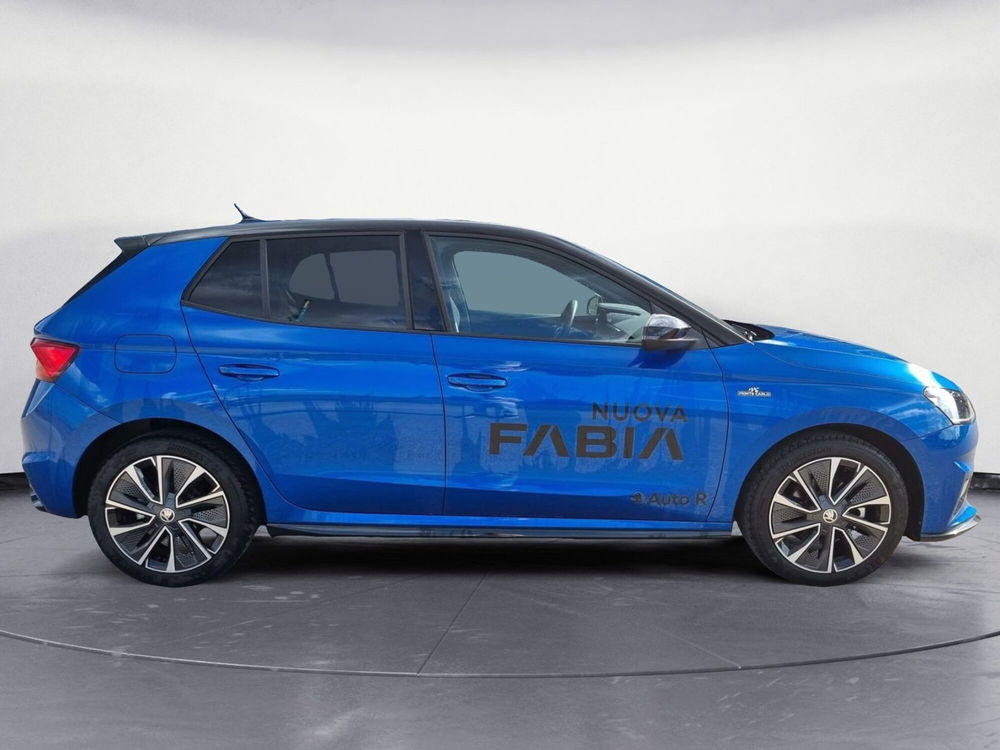 Skoda Fabia usata a Potenza (4)