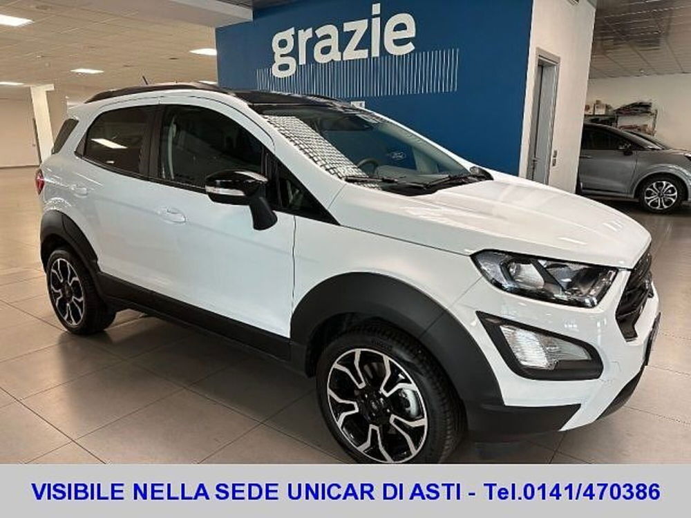 Ford EcoSport usata a Cuneo (3)