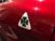Alfa Romeo Stelvio Stelvio 2.9 Bi-Turbo V6 510 CV AT8 Quadrifoglio  del 2021 usata a Cuneo (19)