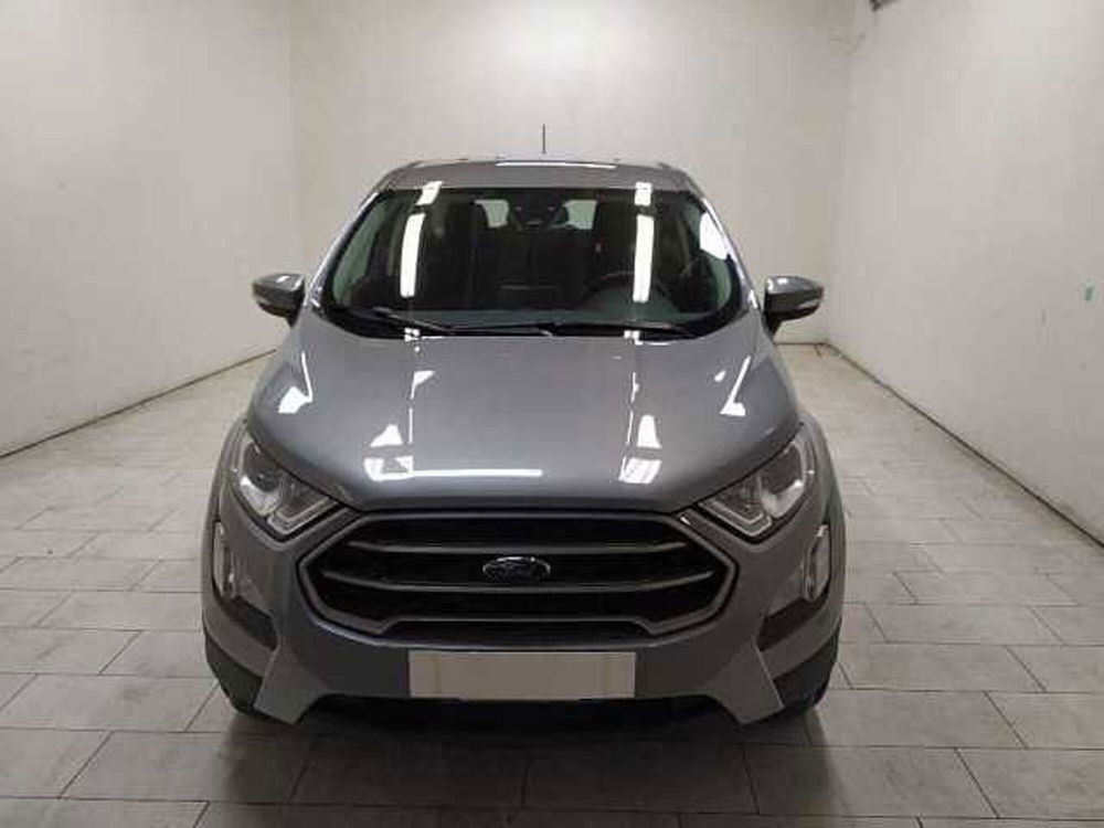 Ford EcoSport usata a Cuneo (2)