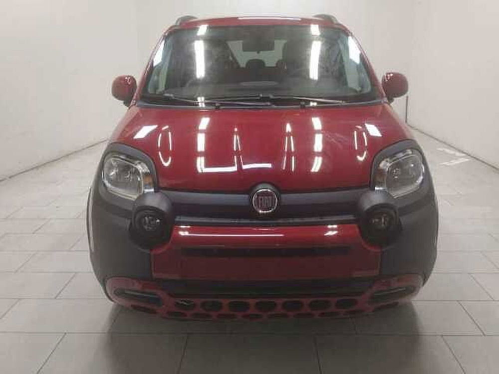 Fiat Panda nuova a Cuneo (2)