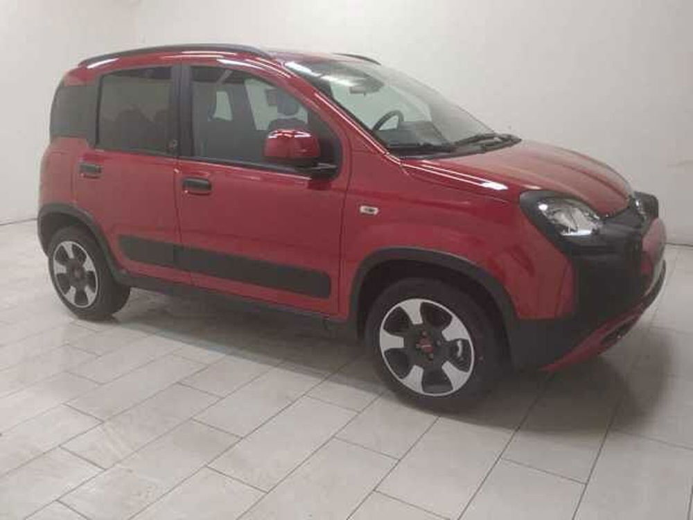 Fiat Panda nuova a Cuneo (3)