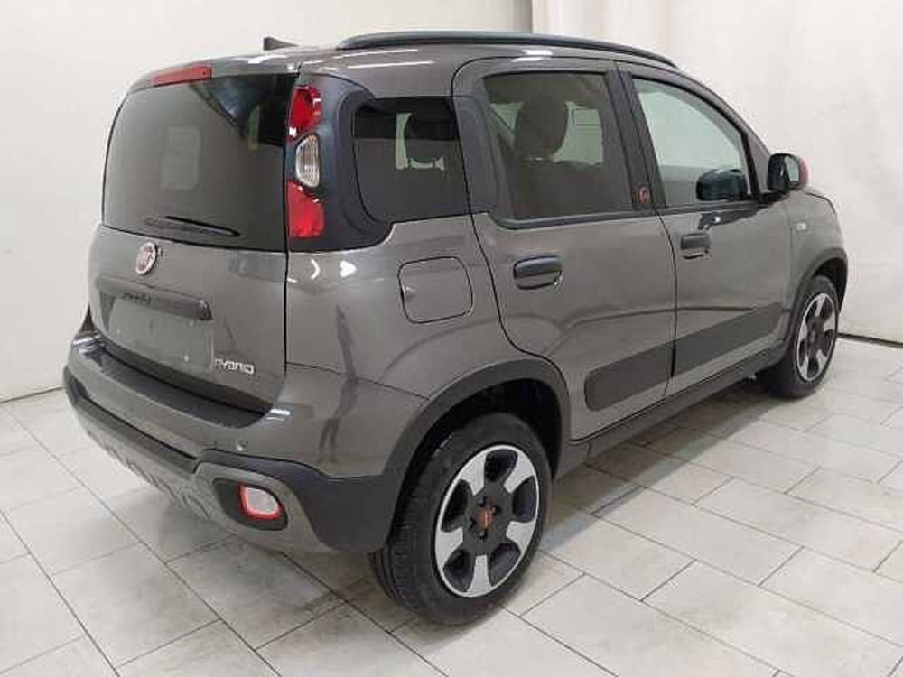 Fiat Panda nuova a Cuneo (4)