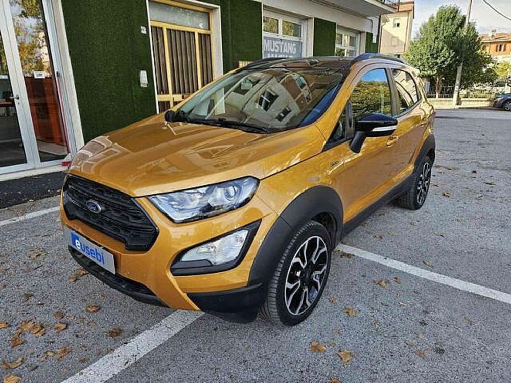 Ford EcoSport usata a Pesaro-Urbino (2)