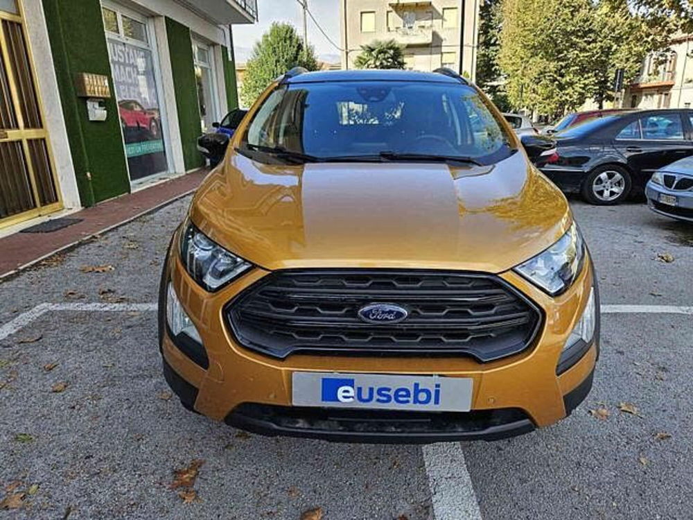 Ford EcoSport 1.0 EcoBoost 125 CV Start&Stop Active del 2021 usata a Fano (4)