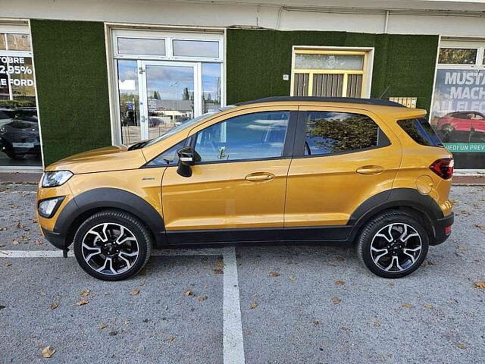 Ford EcoSport usata a Pesaro-Urbino (6)