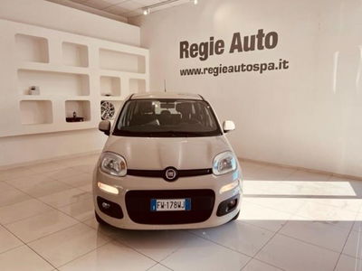 Fiat Panda 1.2 Lounge  del 2017 usata a Viterbo