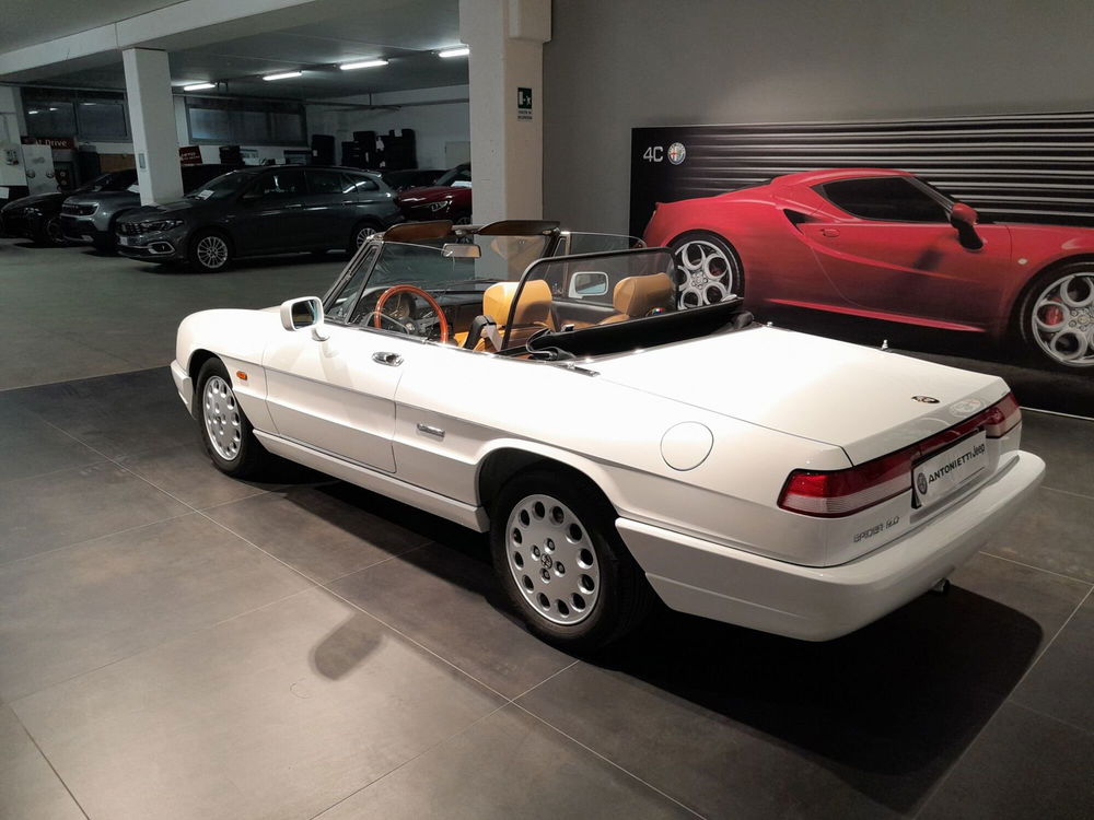 Alfa Romeo Spider usata a Ancona (12)