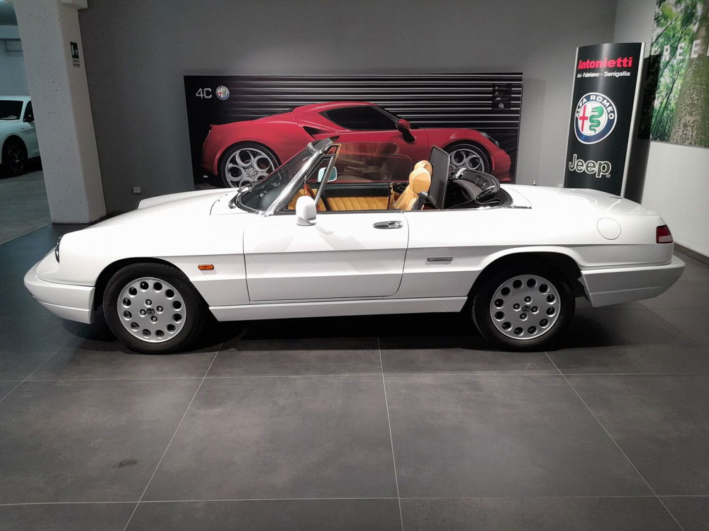 Alfa Romeo Spider usata a Ancona (8)