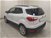 Ford EcoSport 1.0 EcoBoost 125 CV Titanium  del 2021 usata a Cuneo (6)