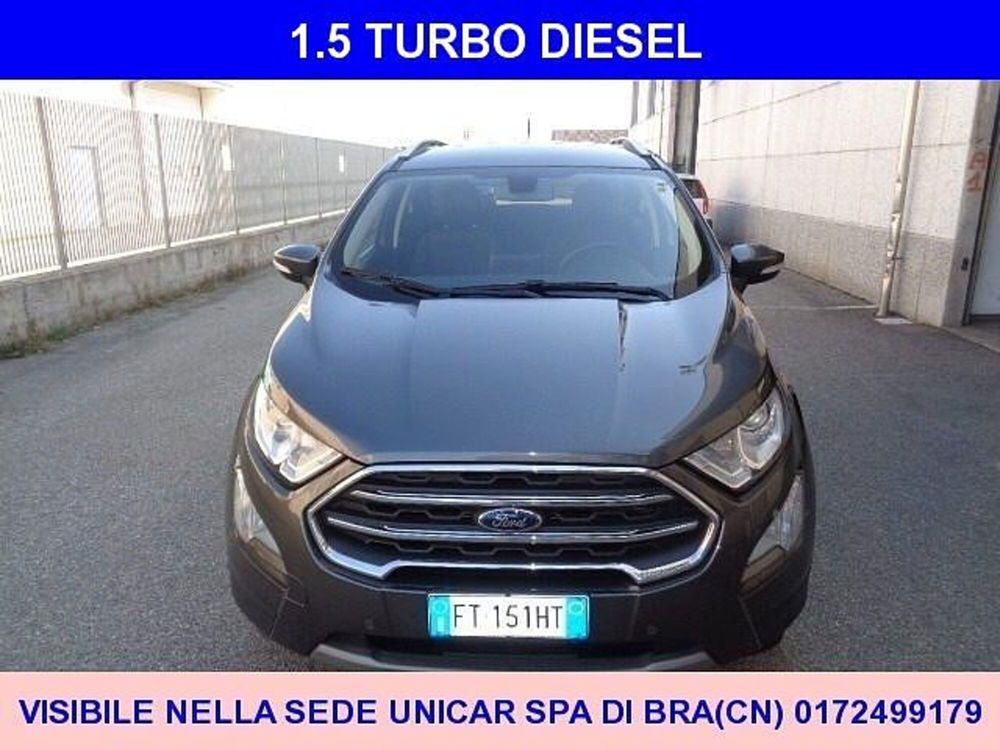 Ford EcoSport usata a Cuneo (2)