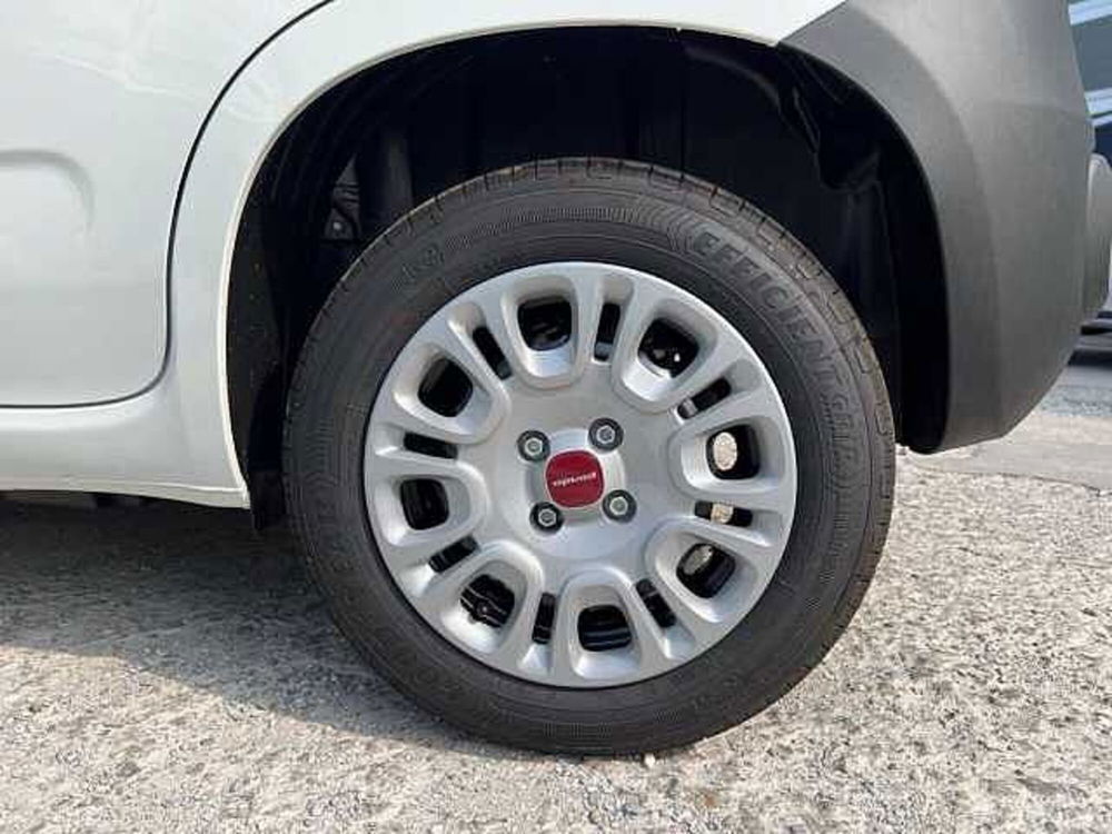 Fiat Panda nuova a Cuneo (9)