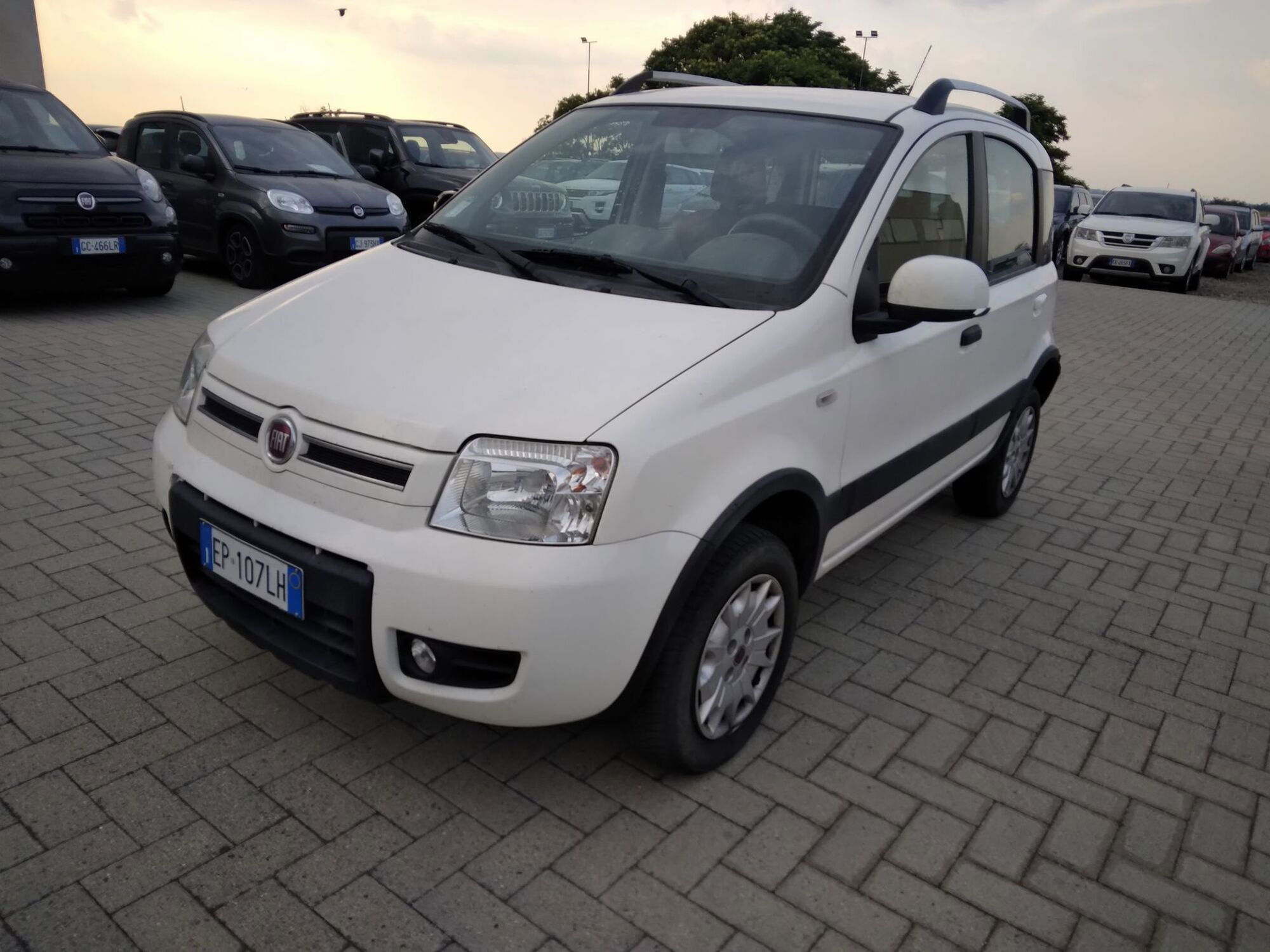 Fiat Panda 1.2 4x4 Climbing  del 2012 usata a Alessandria