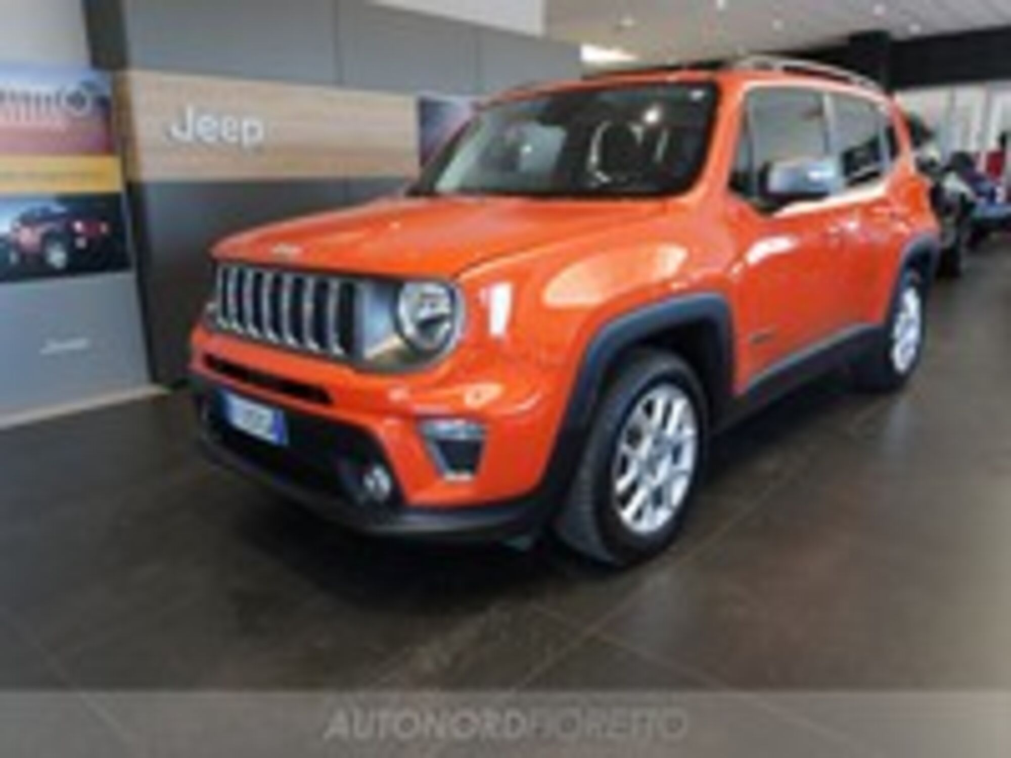 Jeep Renegade 1.6 Mjt DDCT 120 CV Limited  del 2018 usata a Pordenone